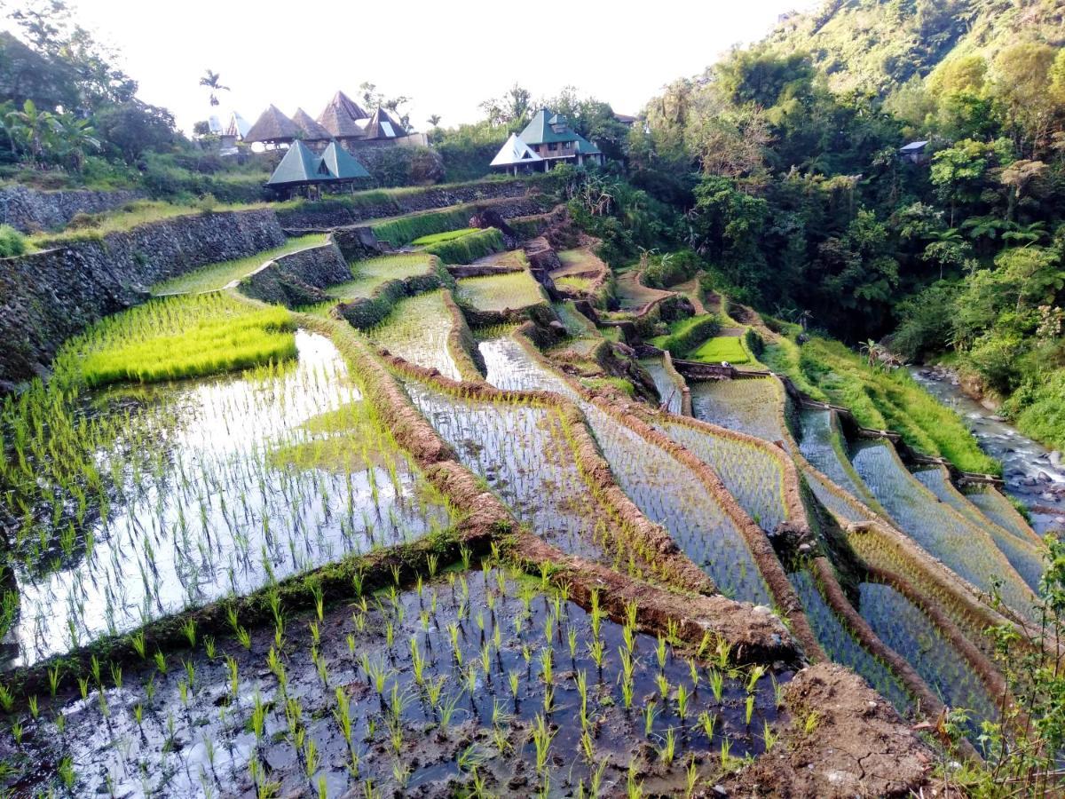 Bogah Lodge Banaue Exterior foto