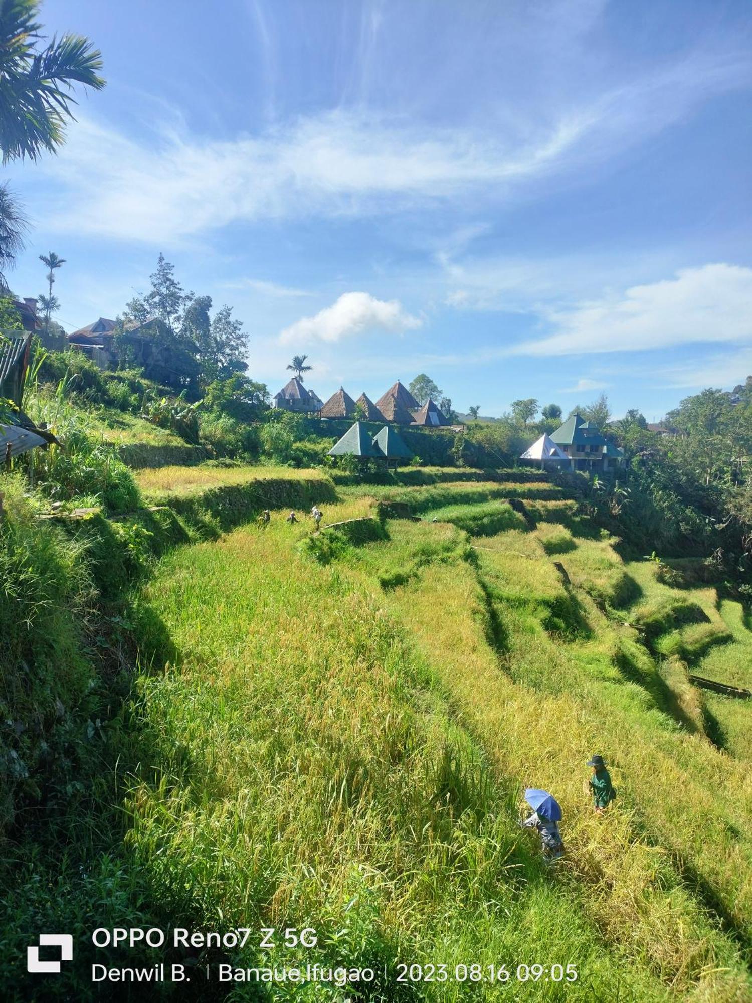 Bogah Lodge Banaue Exterior foto